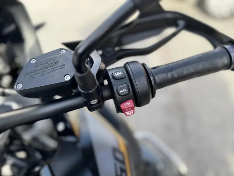 Bmw R 1250 GS (2019 - 20) (6)