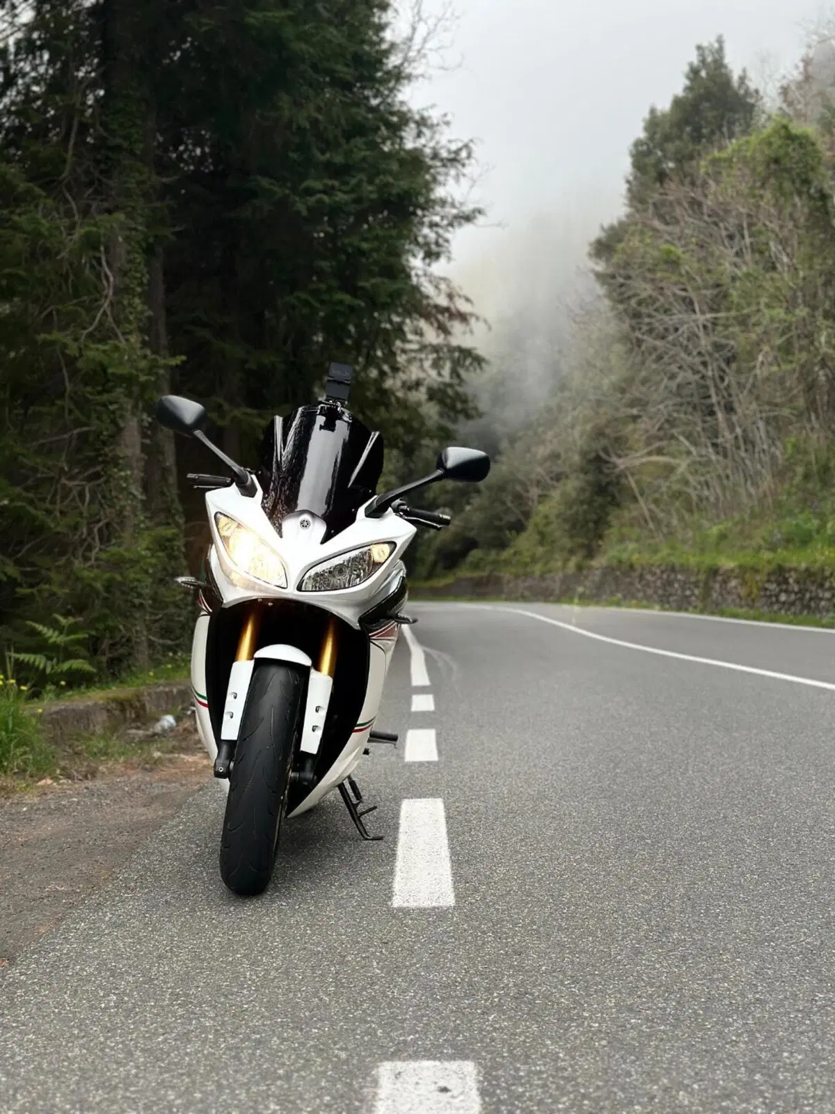 Yamaha FZ8 (2013 - 16) (2)