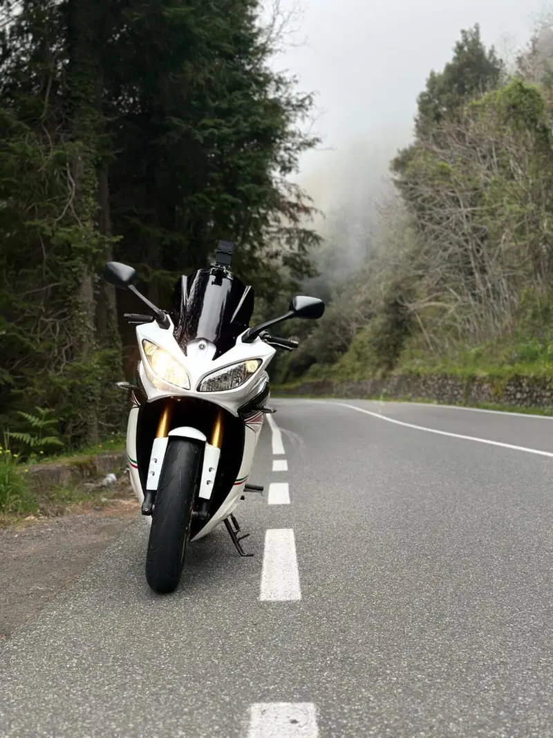 Yamaha FZ8 (2013 - 16) (2)