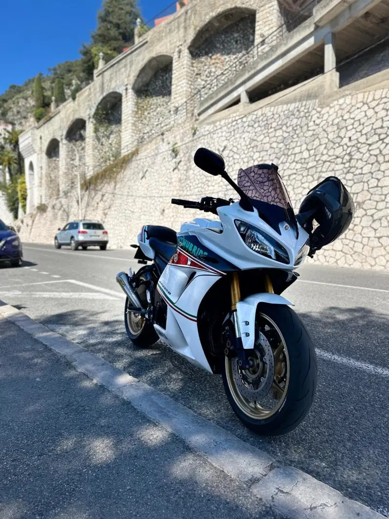 Yamaha FZ8 (2013 - 16) (3)