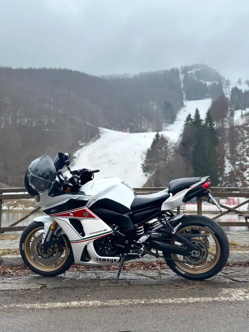 Yamaha FZ8 (2013 - 16) (5)