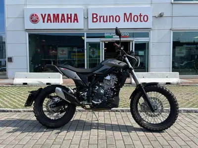 Betamotor Alp X (2024 - 26) usata