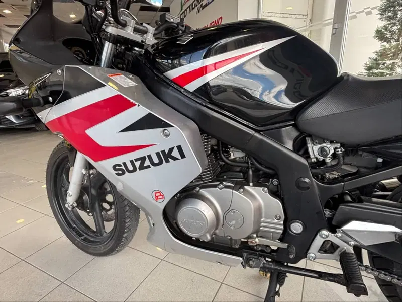 Suzuki GS 500 F (2004 - 06) (8)