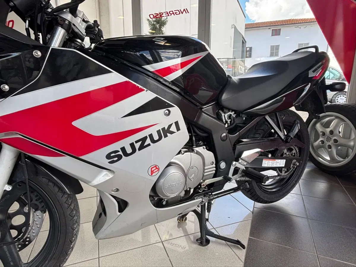 Suzuki GS 500 F (2004 - 06) (6)