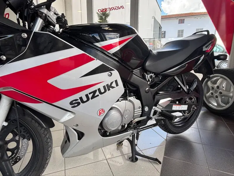 Suzuki GS 500 F (2004 - 06) (6)