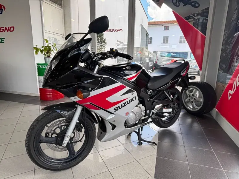 Suzuki GS 500 F (2004 - 06) (5)