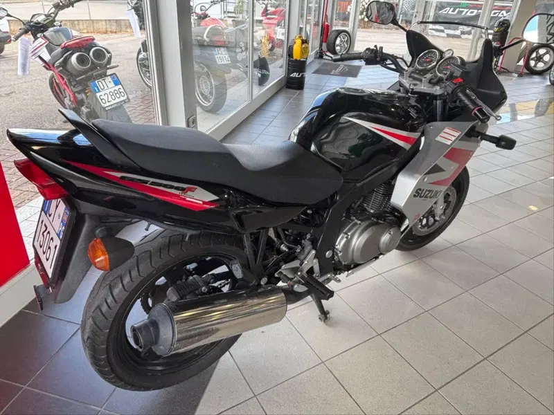 Suzuki GS 500 F (2004 - 06) (3)