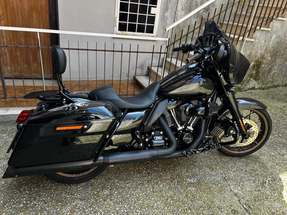 Harley-Davidson Street Glide ST (2022 - 23) (14)