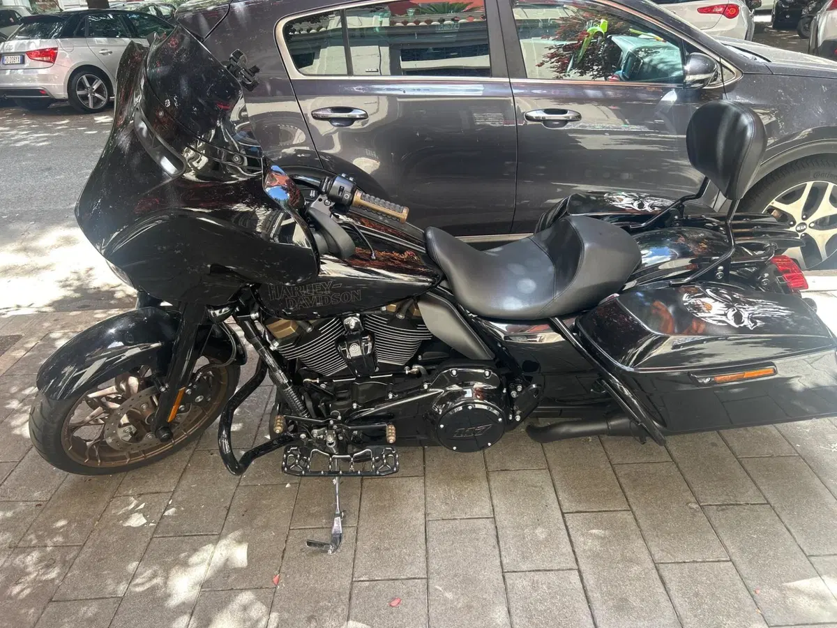 Harley-Davidson Street Glide ST (2022 - 23) (16)
