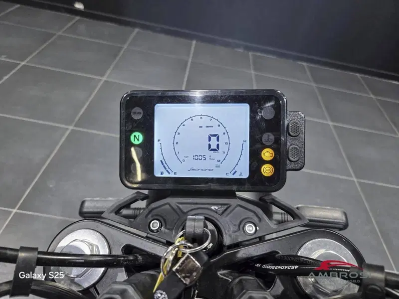 Benelli Leoncino 250 (2019 - 20) (4)