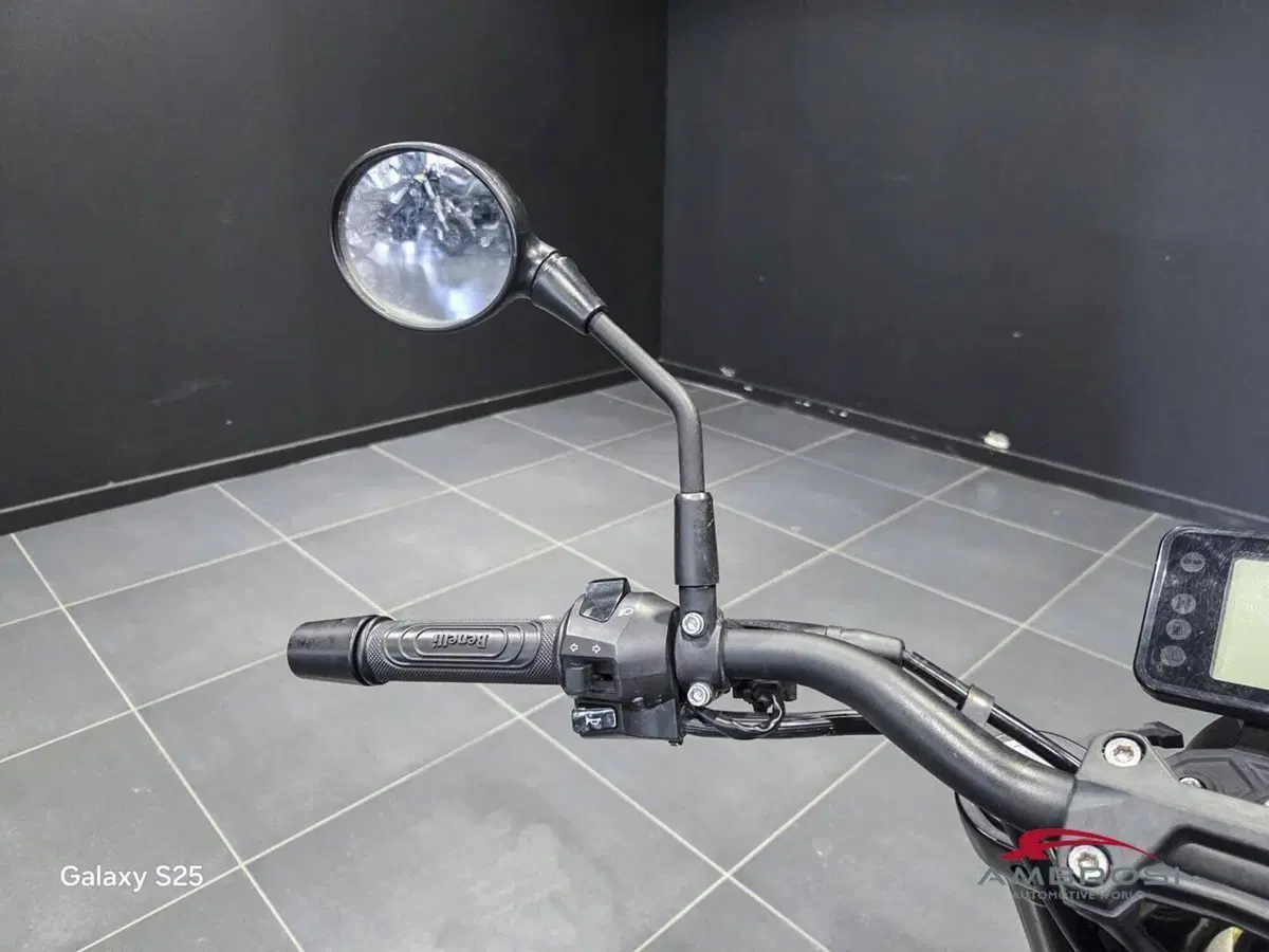 Benelli Leoncino 250 (2019 - 20) (5)