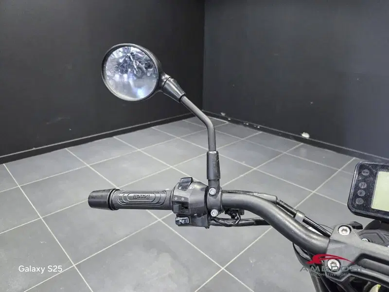 Benelli Leoncino 250 (2019 - 20) (5)