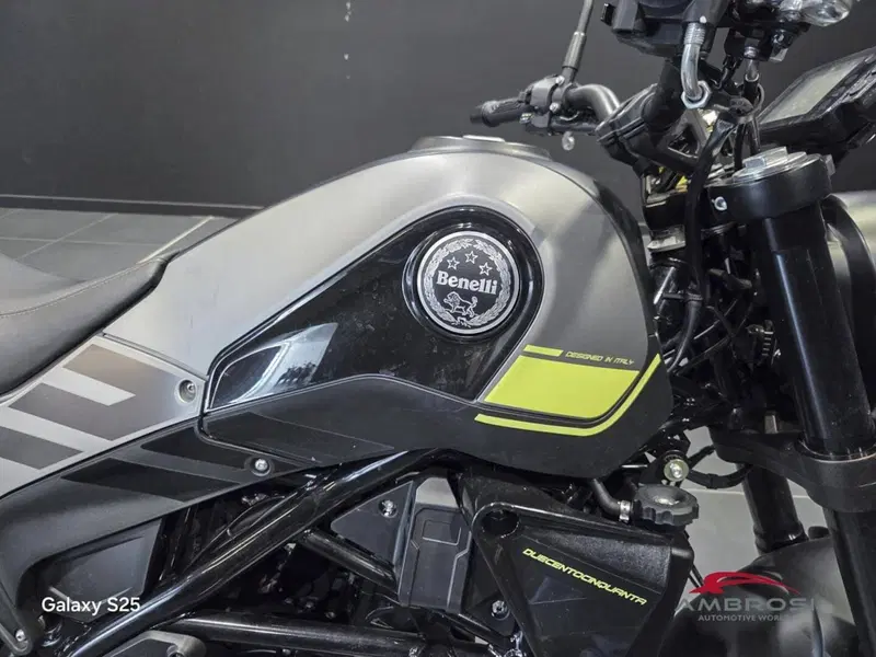 Benelli Leoncino 250 (2019 - 20) (6)