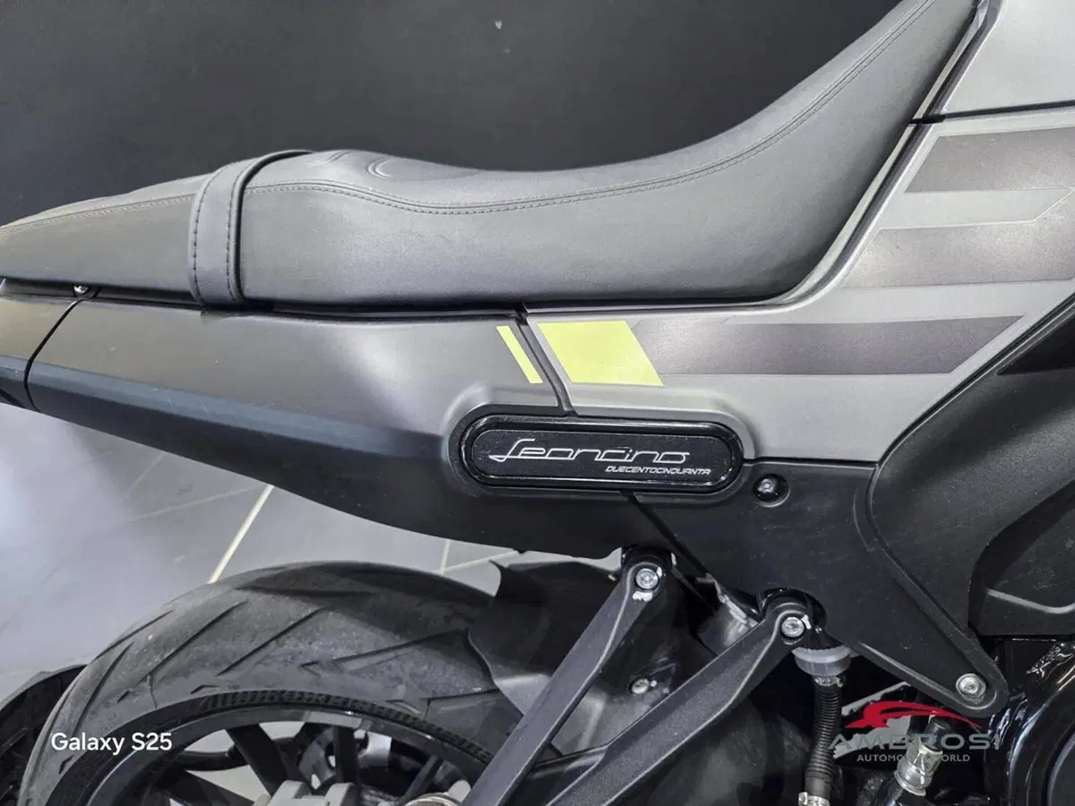 Benelli Leoncino 250 (2019 - 20) (7)