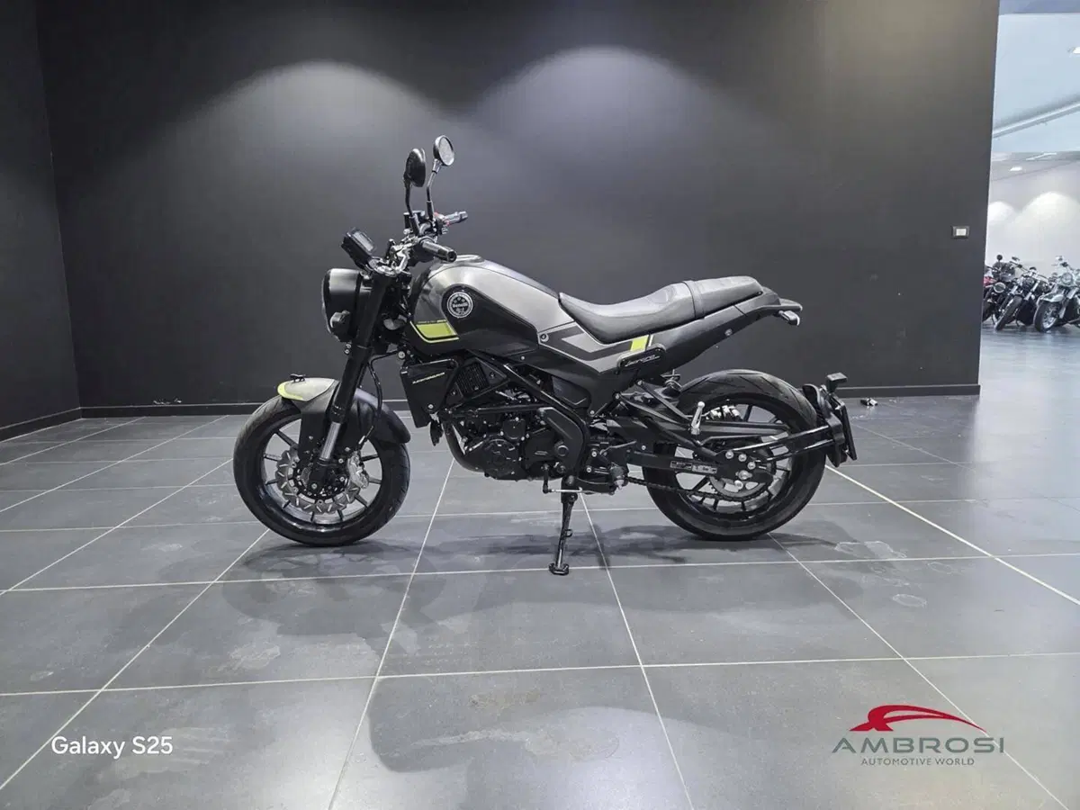 Benelli Leoncino 250 (2019 - 20) (10)