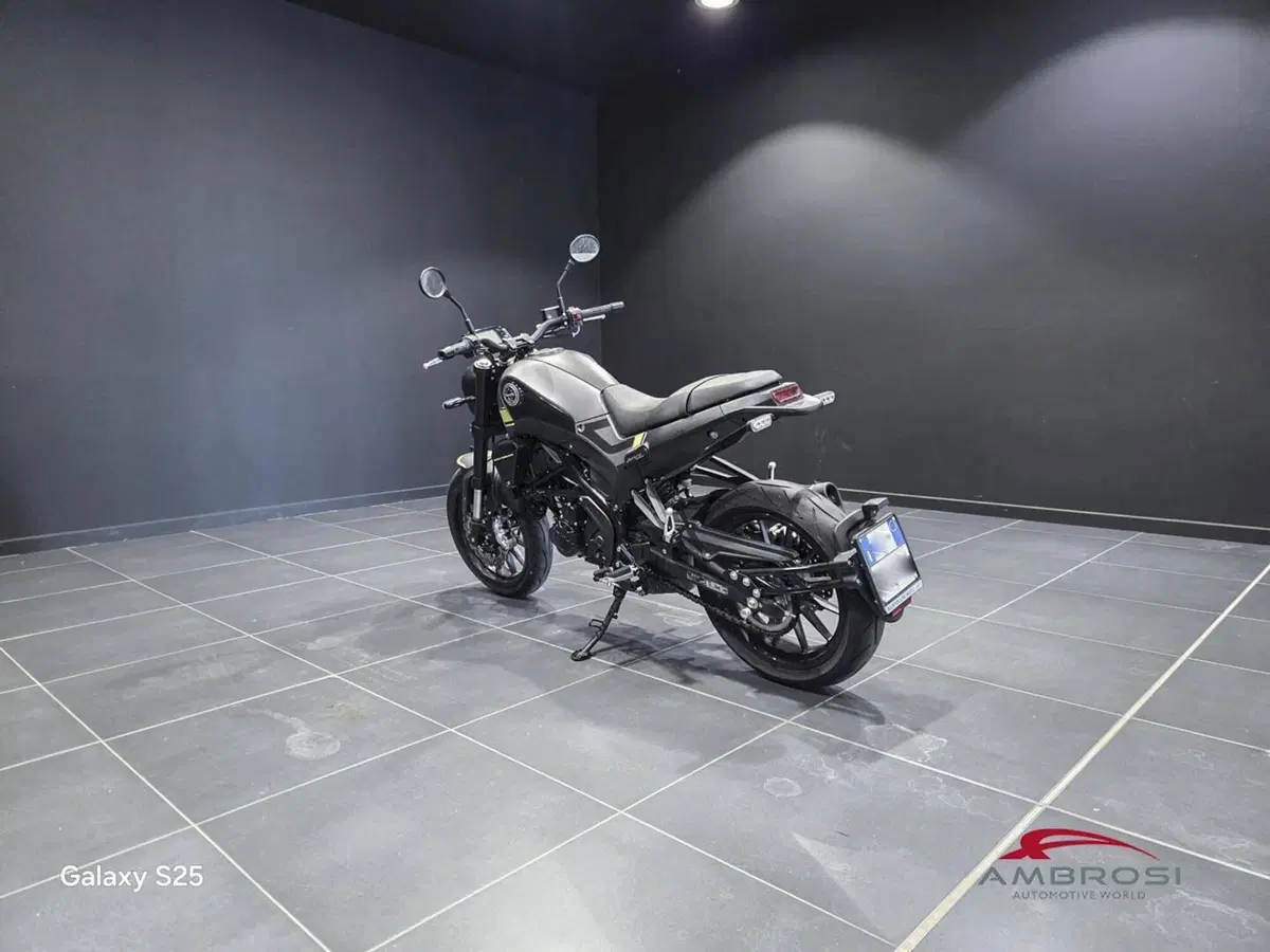 Benelli Leoncino 250 (2019 - 20) (11)