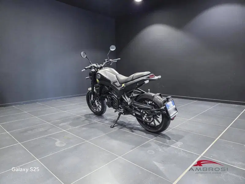 Benelli Leoncino 250 (2019 - 20) (11)