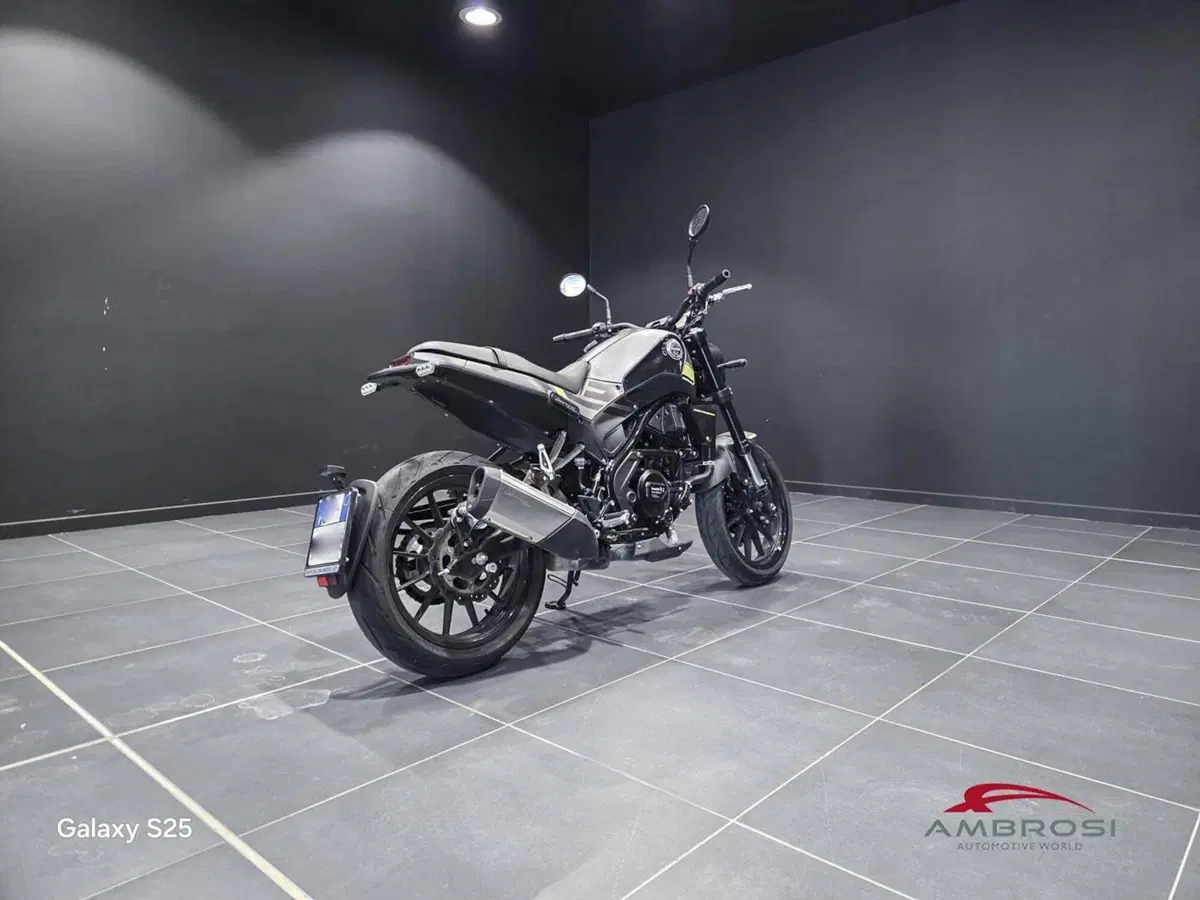Benelli Leoncino 250 (2019 - 20) (12)