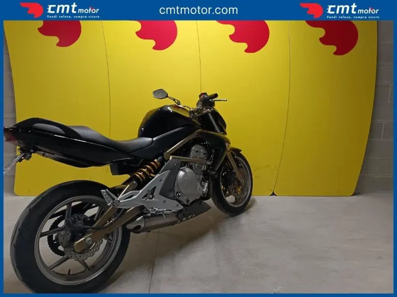 Kawasaki ER-6N (2005 - 08) (4)