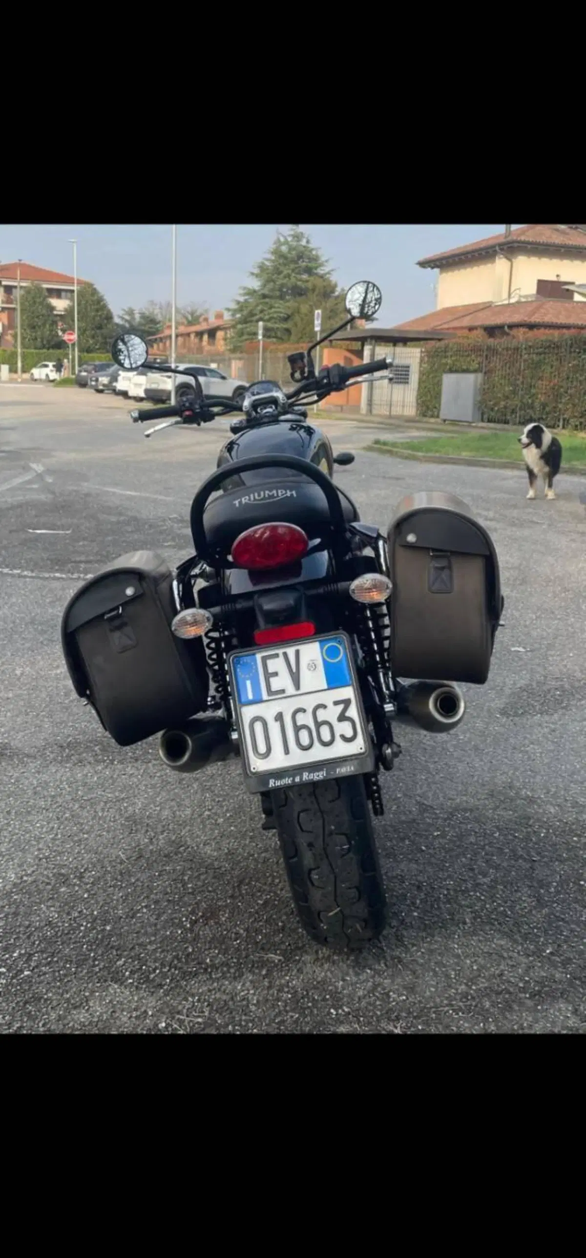 Triumph Street Twin 900 (2021 - 22) (7)