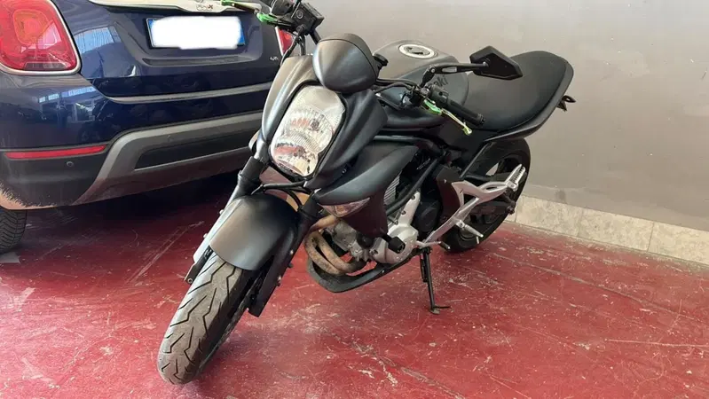 Kawasaki ER-6N (2006 - 09) (2)