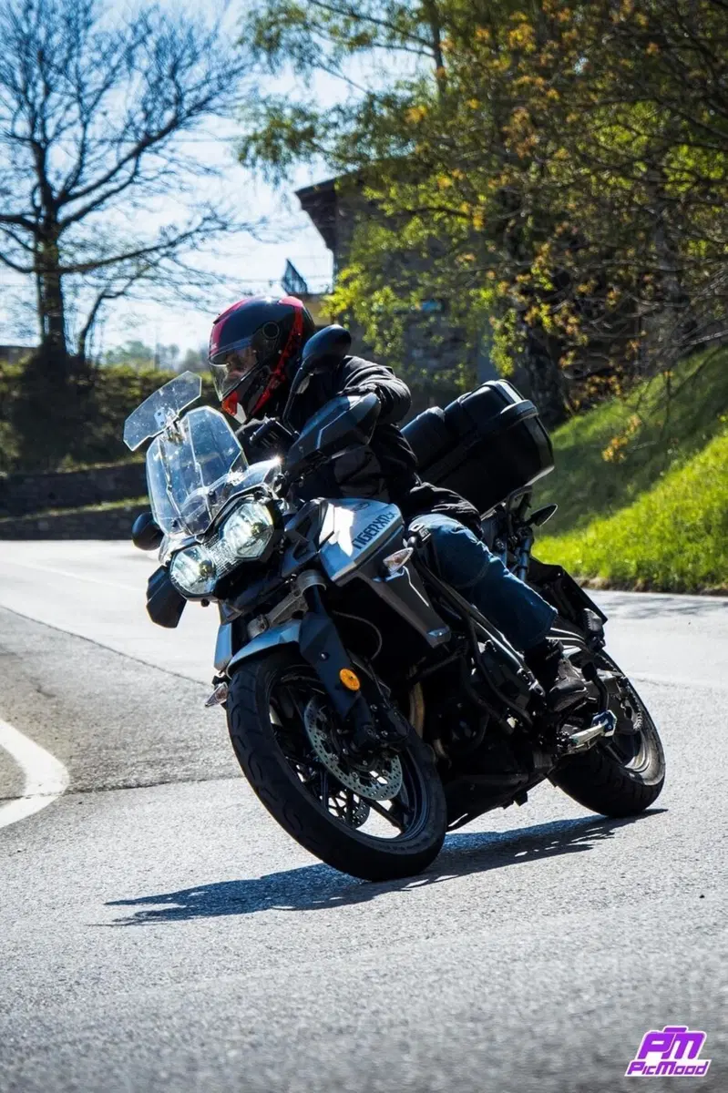 Triumph Tiger 800 XCx (2017 - 18) (6)