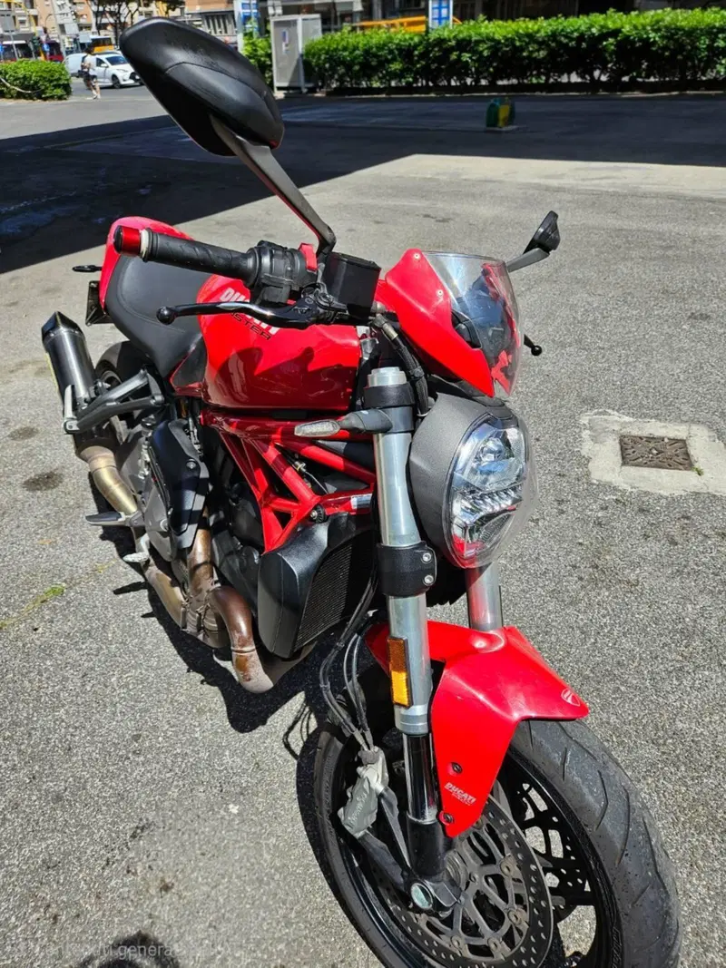 Ducati Monster 821 (2018 - 20) (2)