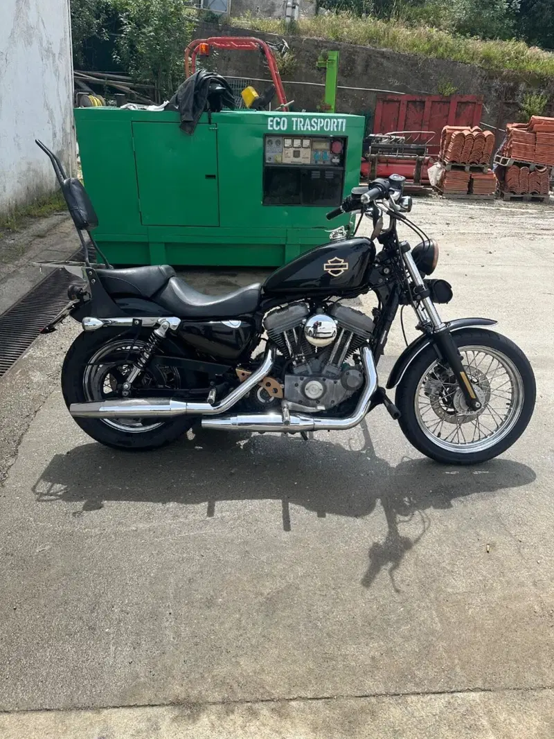 Harley-Davidson 883 (2006 - 07) - XL (2)