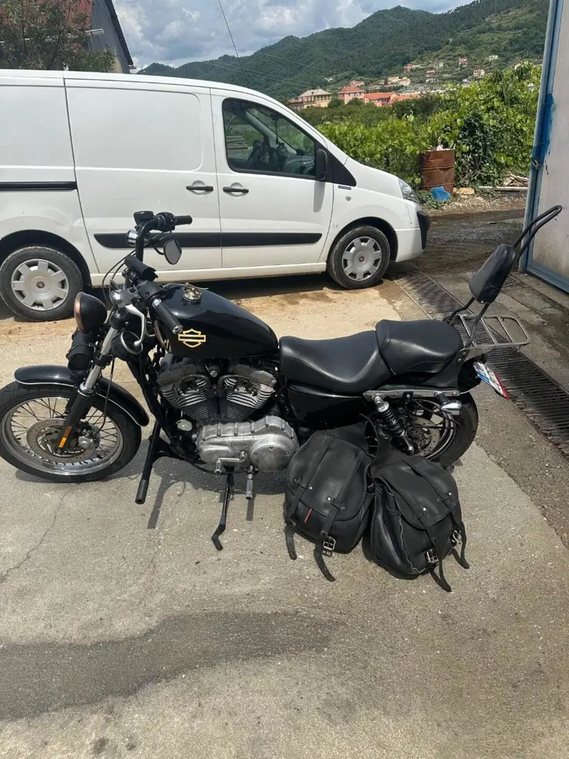 Harley-Davidson 883 (2006 - 07) - XL (3)