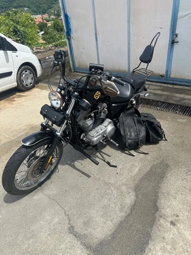 Harley-Davidson 883 (2006 - 07) - XL (4)