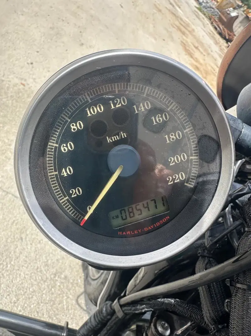 Harley-Davidson 883 (2006 - 07) - XL (5)