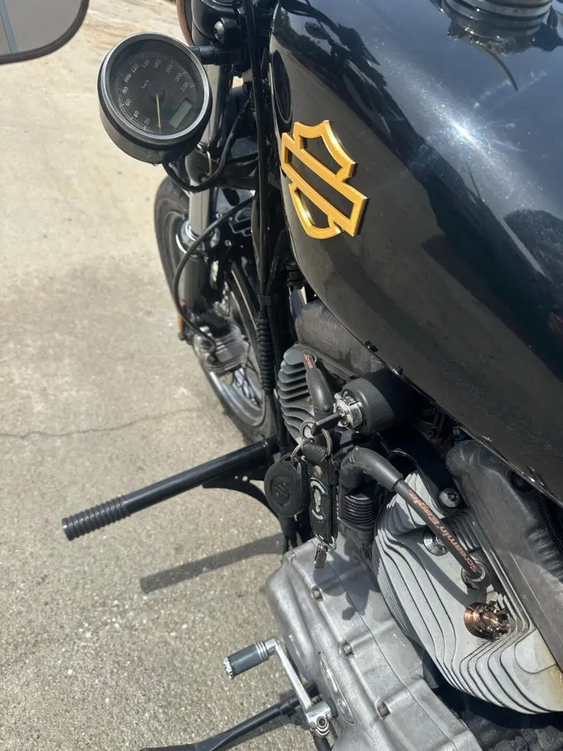 Harley-Davidson 883 (2006 - 07) - XL (6)