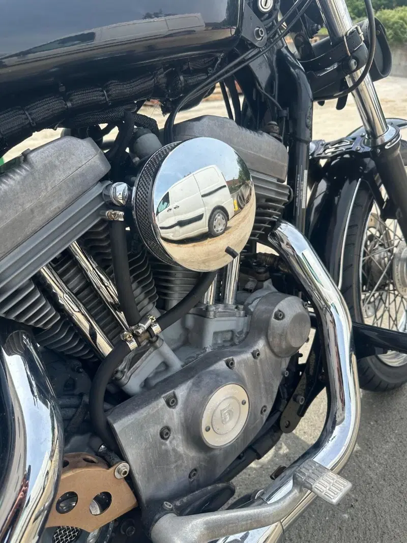 Harley-Davidson 883 (2006 - 07) - XL (10)