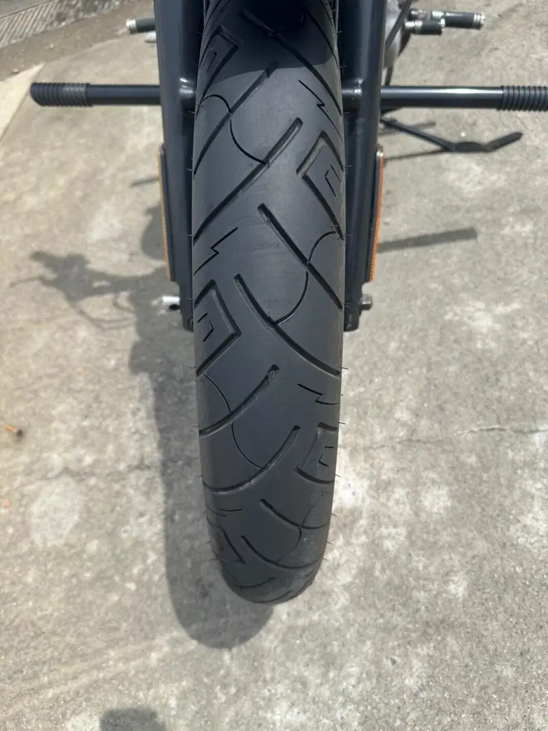 Harley-Davidson 883 (2006 - 07) - XL (11)