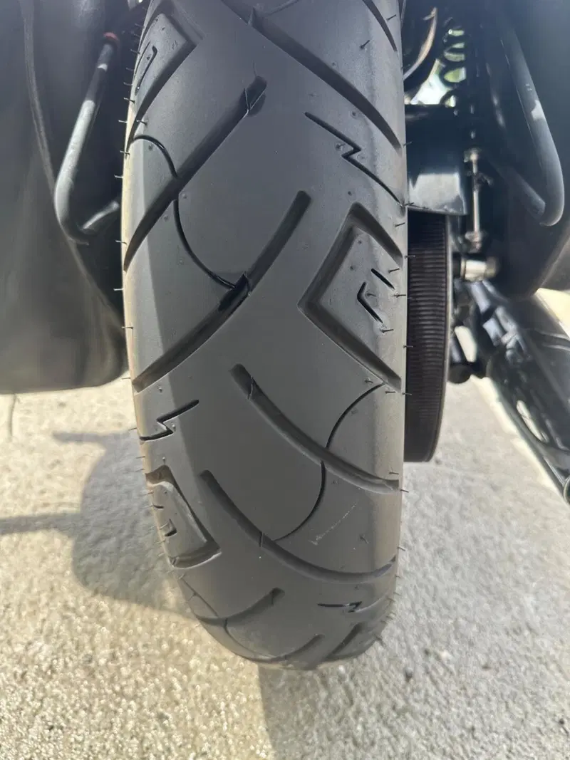 Harley-Davidson 883 (2006 - 07) - XL (12)