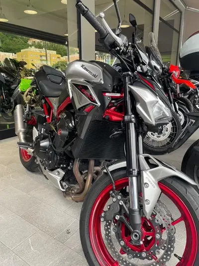 Kawasaki Z 900 (2021 - 24) usata