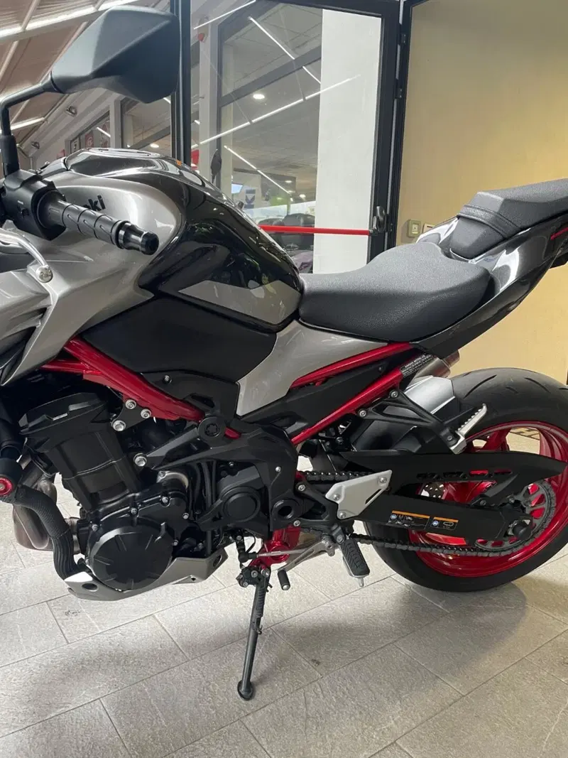 Kawasaki Z 900 (2021 - 24) (3)