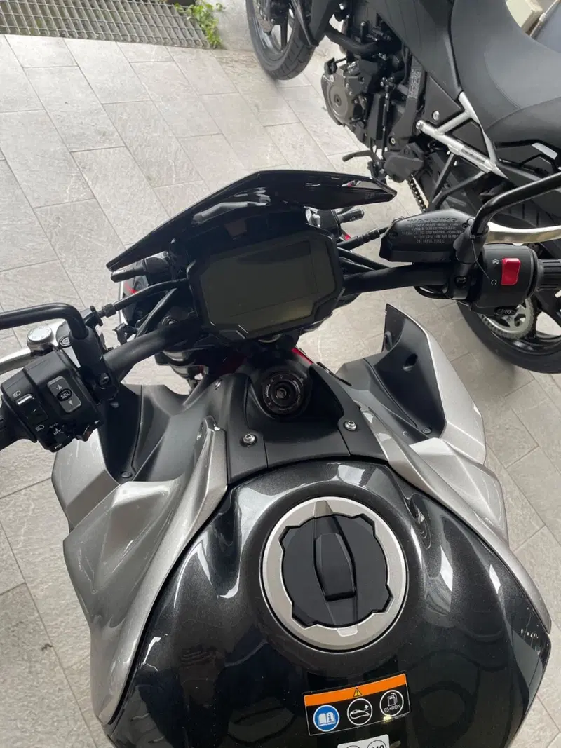 Kawasaki Z 900 (2021 - 24) (6)
