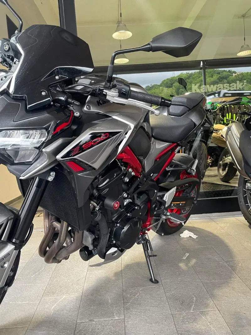 Kawasaki Z 900 (2021 - 24) (9)
