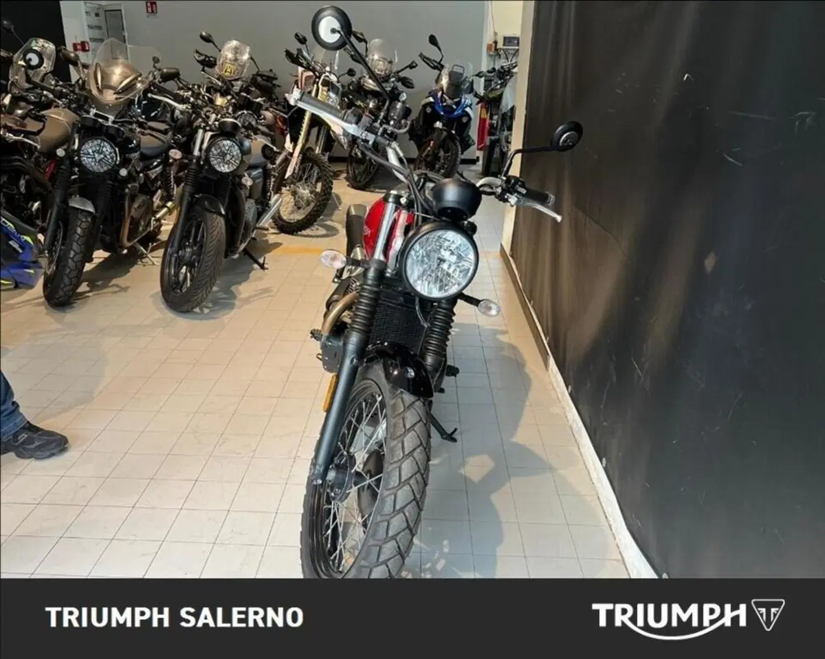 Triumph Street Scrambler 900 (2019 - 20) (3)