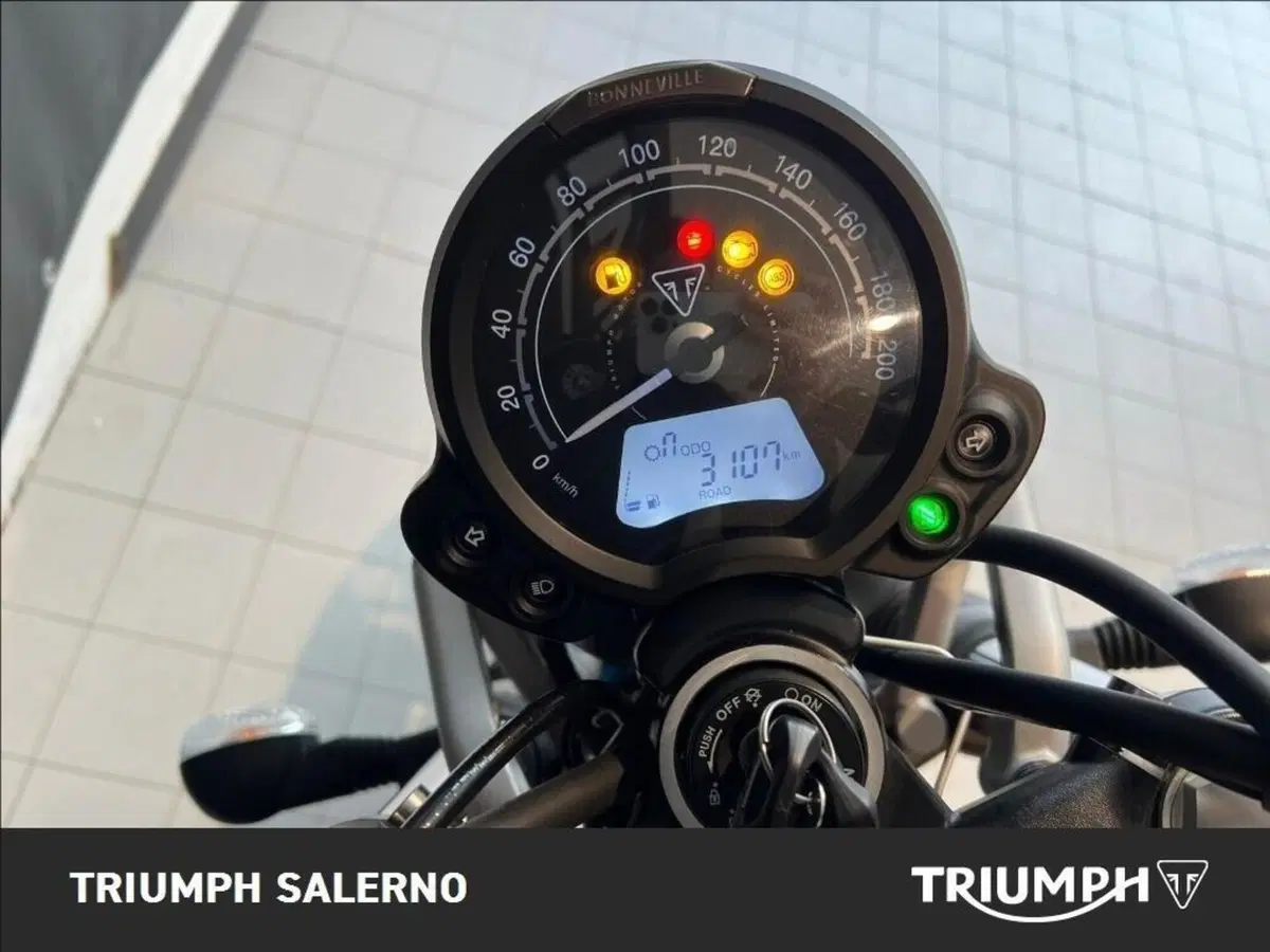 Triumph Street Scrambler 900 (2019 - 20) (7)
