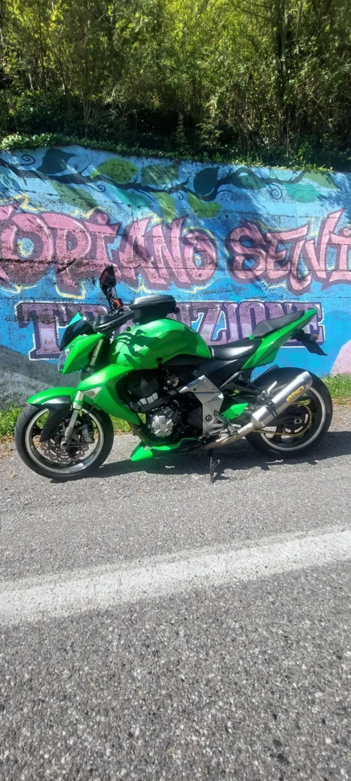 Kawasaki Z 1000 (2007 - 09) (4)