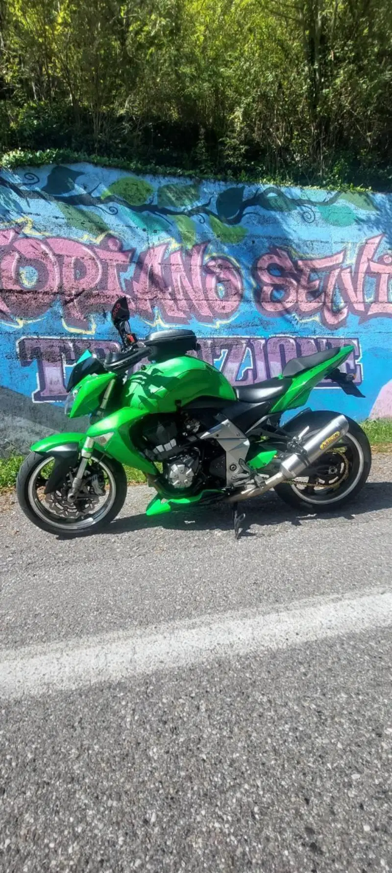 Kawasaki Z 1000 (2007 - 09) (4)