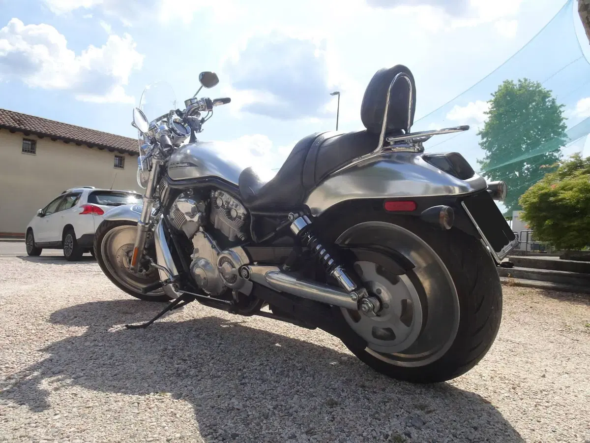 Harley-Davidson 1130 V-ROD (2002 - 05) - VRSCB (6)