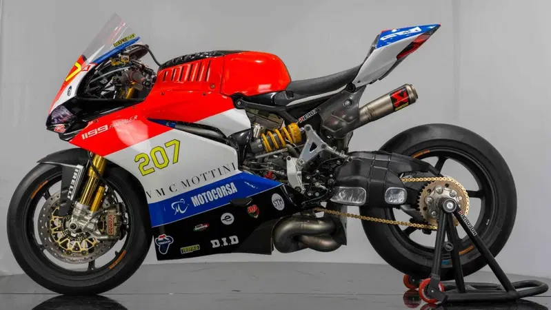 Ducati 1199 Panigale R ABS (2013 - 17) (2)