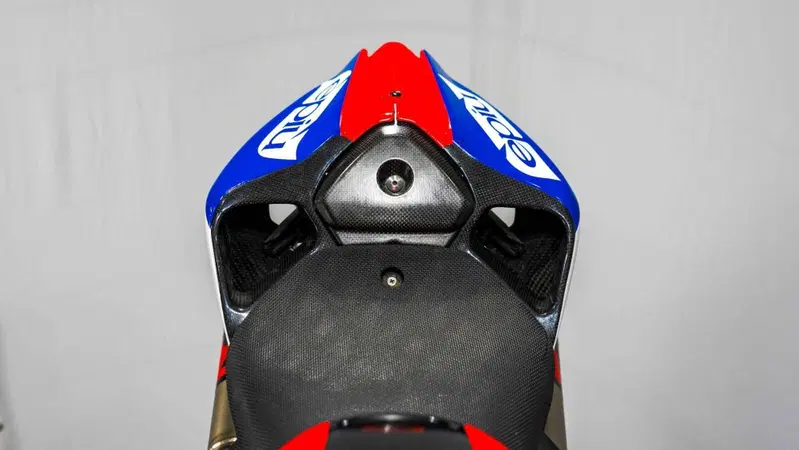 Ducati 1199 Panigale R ABS (2013 - 17) (15)