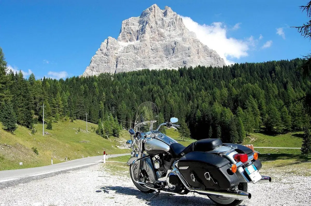 Harley-Davidson Road King Classic (4)