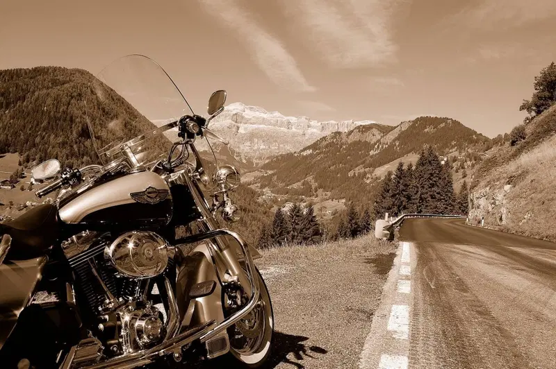 Harley-Davidson 1450 Road King (1999 - 03) - FLHR (2)