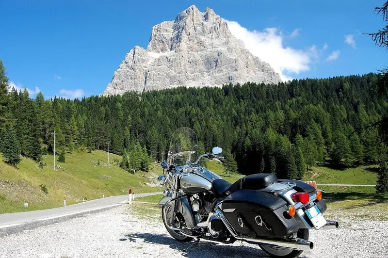 Harley-Davidson 1450 Road King (1999 - 03) - FLHR (4)