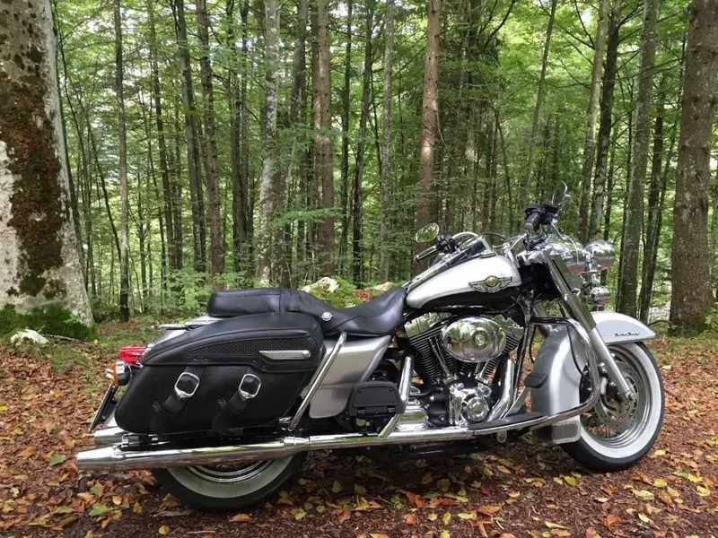 Harley-Davidson 1450 Road King (1999 - 03) - FLHR (6)